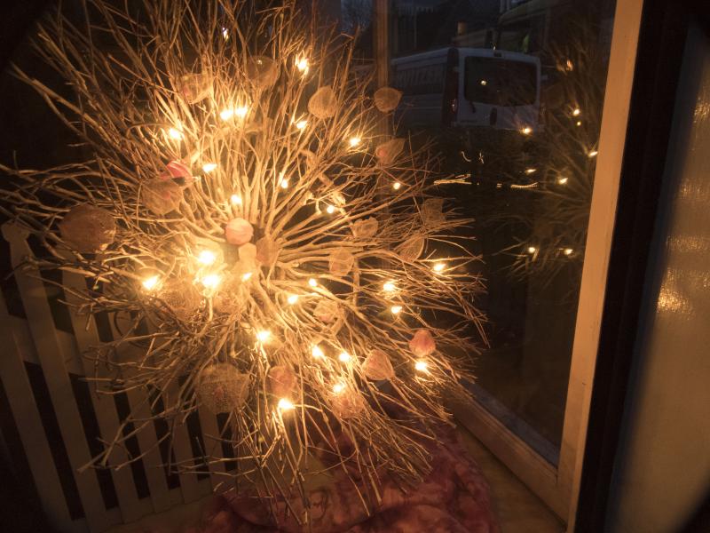 Foto 1203788539
